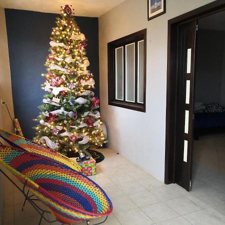 Bed and Breakfast Montealban House Oaxaca Екстер'єр фото
