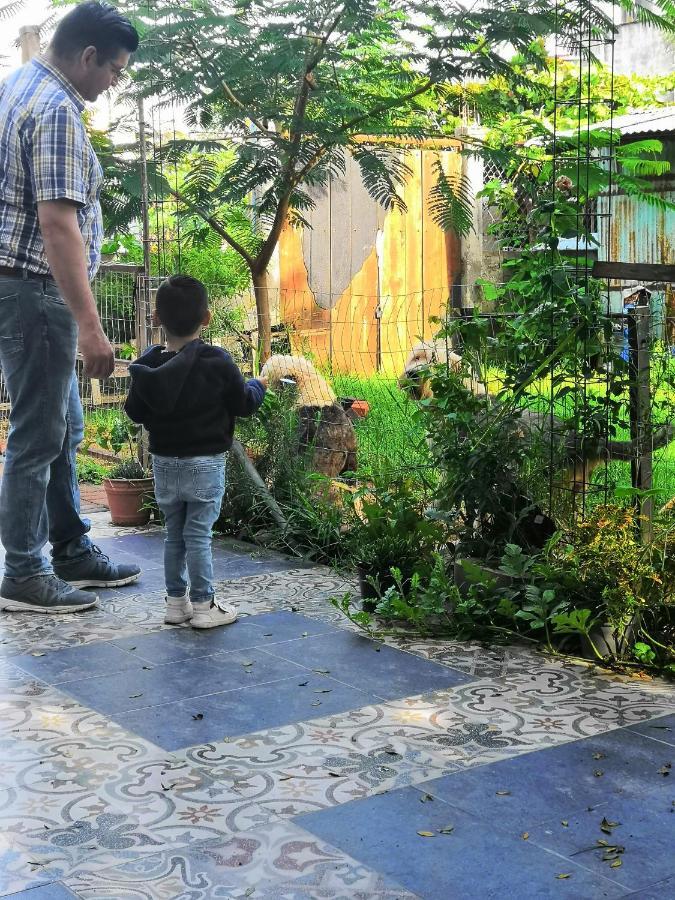 Bed and Breakfast Montealban House Oaxaca Екстер'єр фото